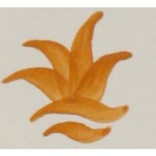 CD-10 Óxido Colorante Sin Plomo NARANJA 100 grs