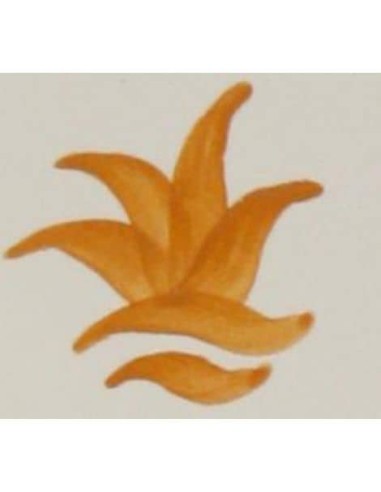 CD-10 Óxido Colorante Sin Plomo NARANJA 100 grs