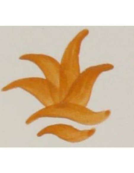 CD-10 Óxido Colorante Sin Plomo NARANJA 100 grs