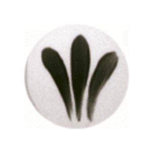 SP 2032 Negro 800ºC - 6 grs