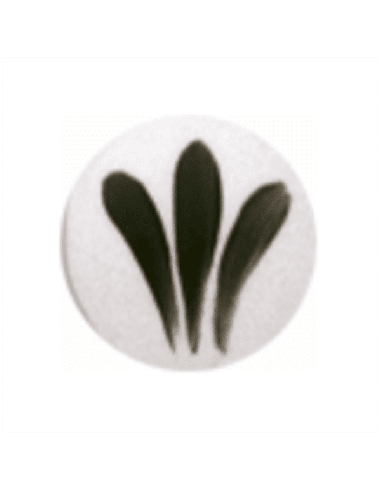 SP 2032 Negro 800ºC - 6 grs