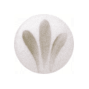 SP 2033 Gris Claro 800ºC - 6 grs