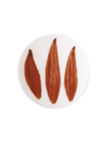 SP 2044 Rojo Pompadour 800ºC - 6 grs