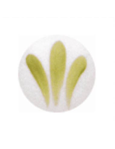 SP 2062 Verde Amarilllo 800ºC - 6 grs