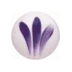 SP 2099 Malva Oscuro 800ºC - 3 grs