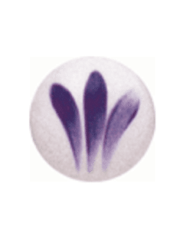 SP 2099 Malva Oscuro 800ºC - 3 grs