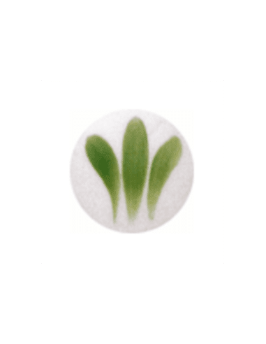 SP 2102 Verde 800ºC - 6 grs