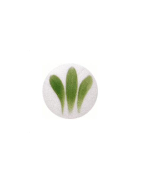 SP 2102 Verde 800ºC - 6 grs