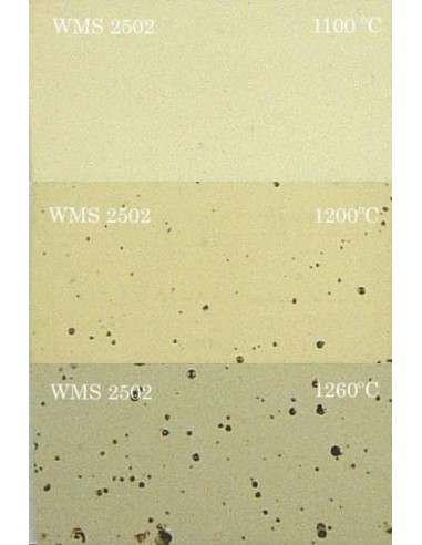 Gres Moteado WMS-2502 10 kg