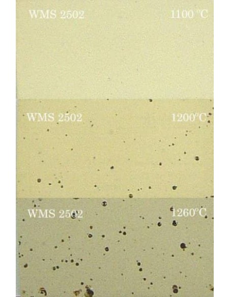 Gres Moteado WMS-2502 10 kg