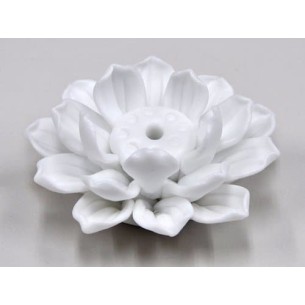Porcelana LOTUS extra blanca 5kg. 2