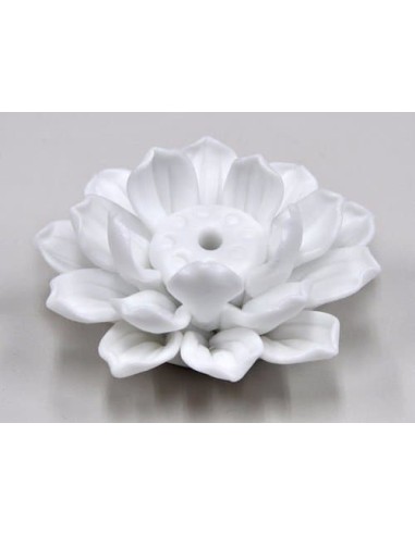 Porcelana LOTUS extra blanca 5kg.