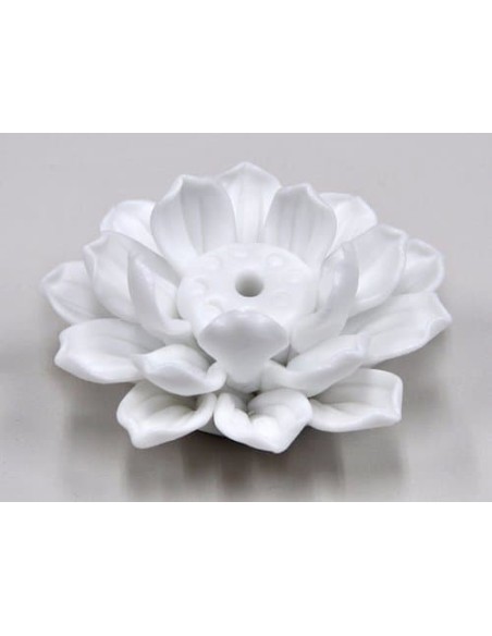 Porcelana LOTUS extra blanca 5kg.