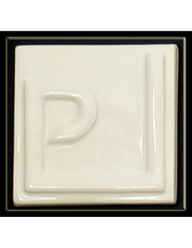 Esmalte Opaco Brillo EOSP-01 blanco antiguo