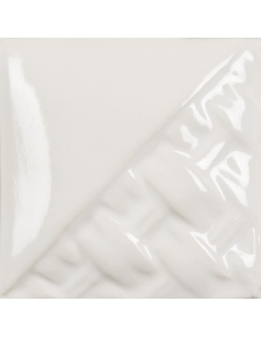 SW-501 Blanco Brillo
