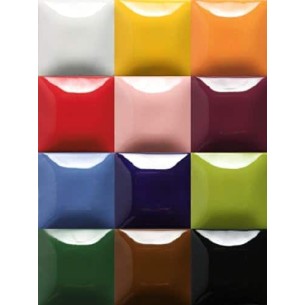 Stroke&Coat Kit 12 unidades x 59 ml. 2