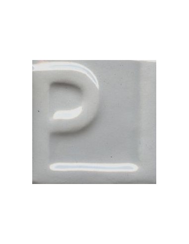 Esmalte 5005 Transparente Brillo