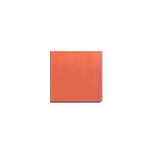 Loseta bizcocho rojo 200x200 mm