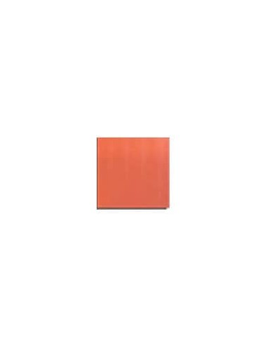 Loseta bizcocho rojo 200x200 mm
