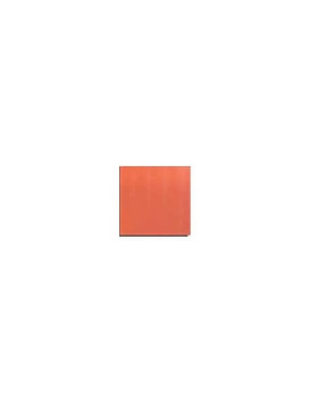 Loseta bizcocho rojo 200x200 mm