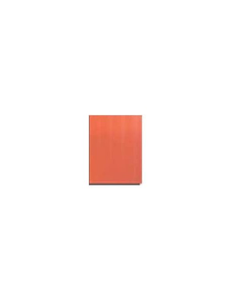 Loseta bizcocho rojo 200x300 mm