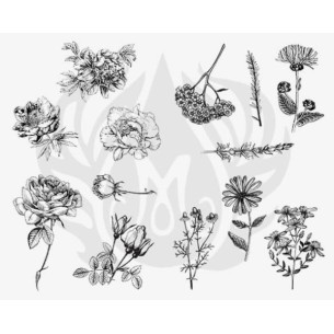 SILKSCREEN 112 Flores