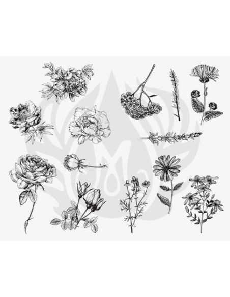 SILKSCREEN 112 Flores