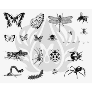 SILKSCREEN 113 Insectos