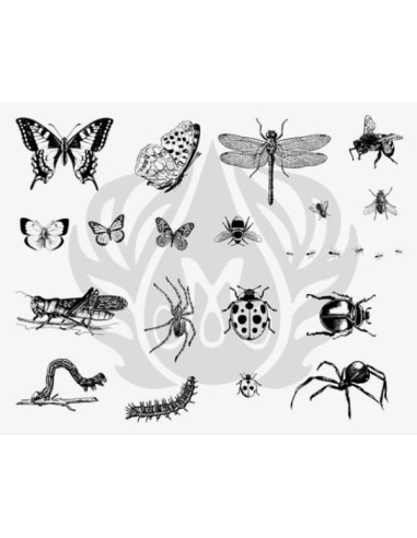 SILKSCREEN 113 Insectos