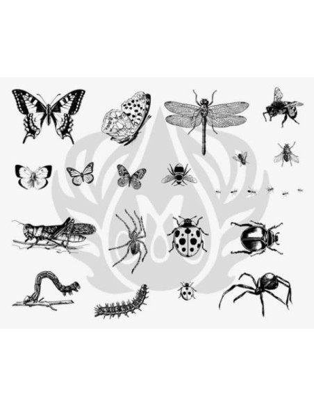 SILKSCREEN 113 Insectos