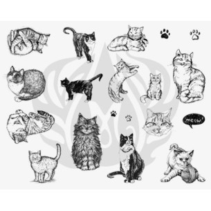 SILKSCREEN 120 Gatos