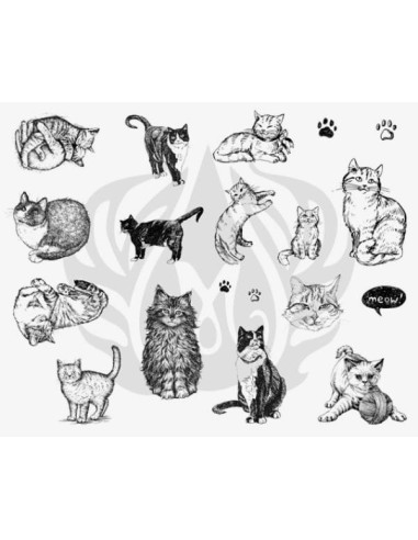SILKSCREEN 120 Gatos