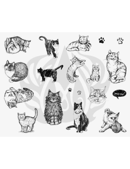 SILKSCREEN 120 Gatos