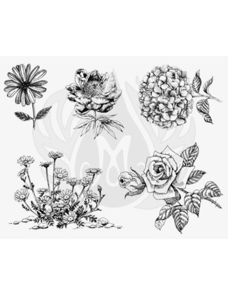 SILKSCREEN 149 Flor Grande