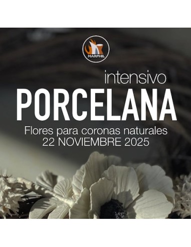 Curso Intensivo Escultura Botánica en Porcelana