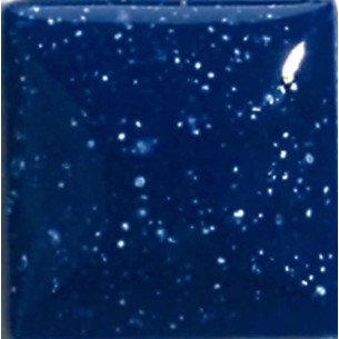 FS2411 Blue Galaxy GARE 473 ml.