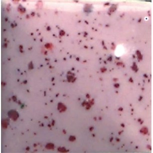 FS2413 Pink Passion GARE 473 ml.
