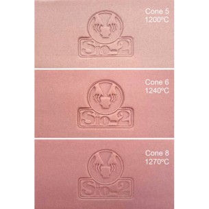 Porcelana BEGUR Rosa 5 Kg.