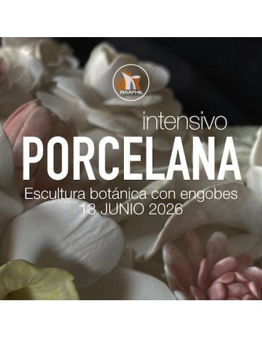 Curso Intensivo Azulejo Botánico con engobes en Porcelana