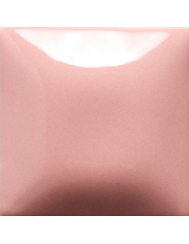 STROKE & COAT SC01 *TAMAÑO PINTA 473 ML