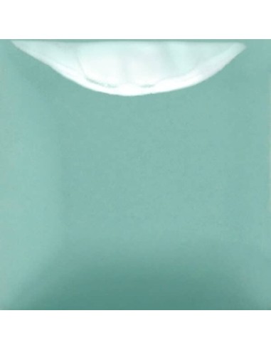 STROKE & COAT SC101 *TAMAÑO PINTA 473 ML