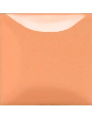 STROKE & COAT SC102 *TAMAÑO PINTA 473 ML
