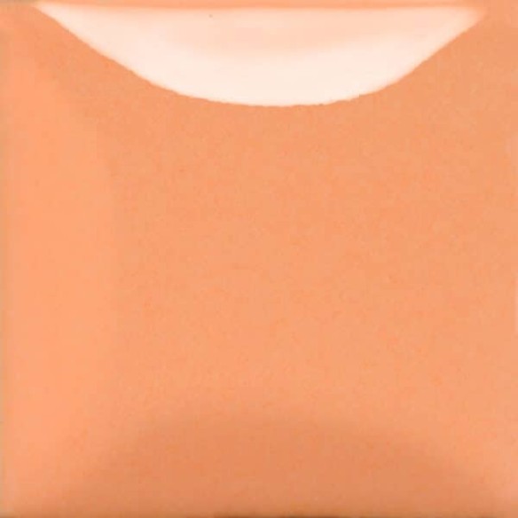 STROKE & COAT SC102 *TAMAÑO PINTA 473 ML