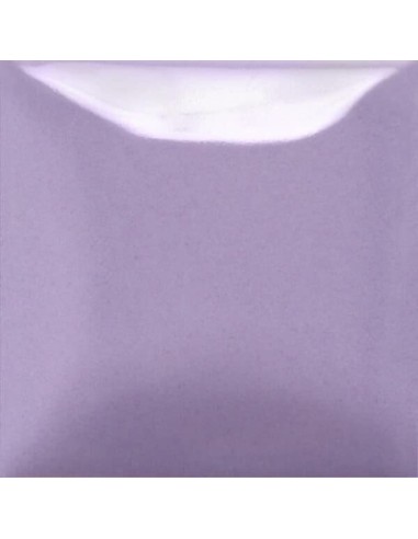 STROKE & COAT SC103 *TAMAÑO PINTA 473 ML