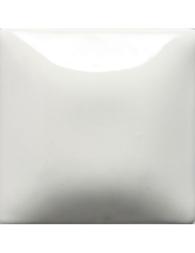 STROKE & COAT SC16 *TAMAÑO PINTA 473 ML