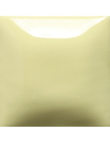 STROKE & COAT SC55 *TAMAÑO PINTA 473 ML