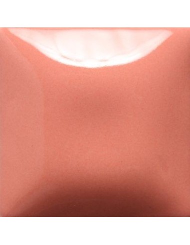 STROKE & COAT SC02 *TAMAÑO PINTA 473 ML