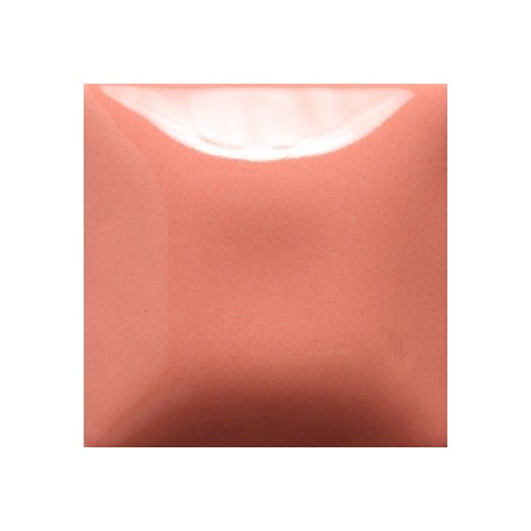 STROKE & COAT SC02 *TAMAÑO PINTA 473 ML