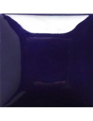 STROKE & COAT SC12 *TAMAÑO PINTA 473 ML