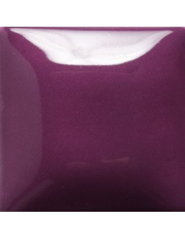 STROKE & COAT SC13 *TAMAÑO PINTA 473 ML